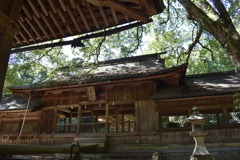 荒れてしまった