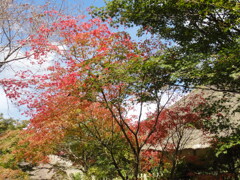 いつか見た風景（2）