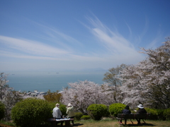 雲と海を桜に添えて