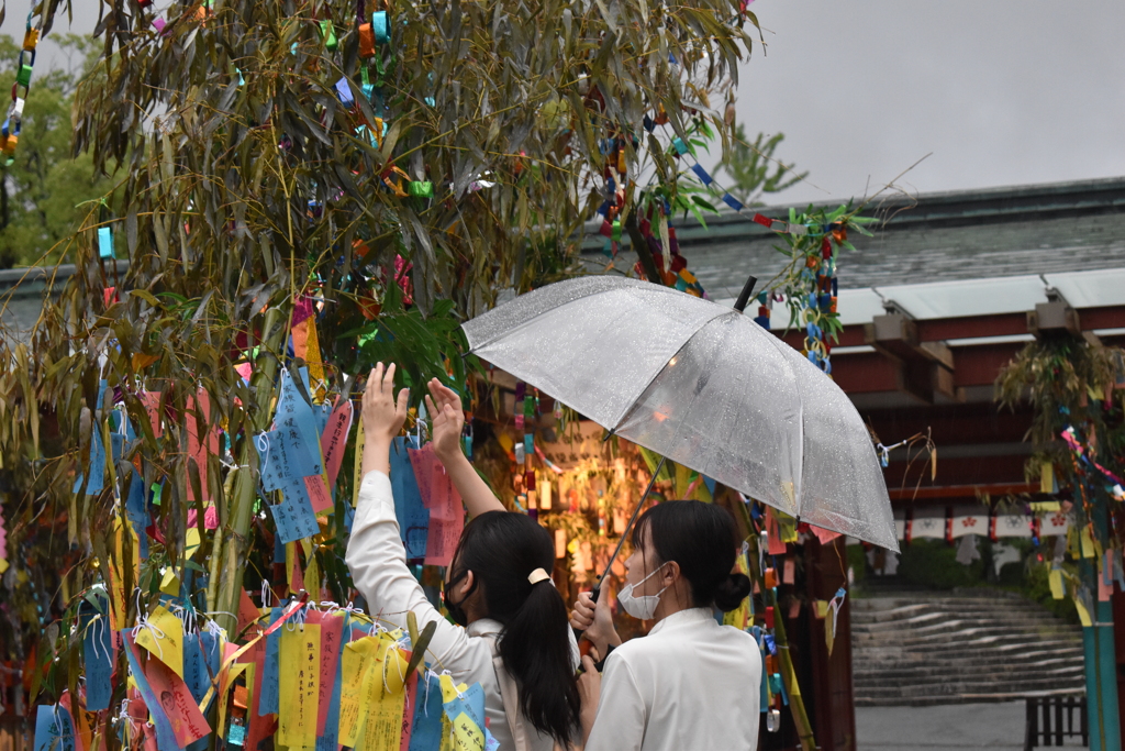 雨の七夕願いよとどけ