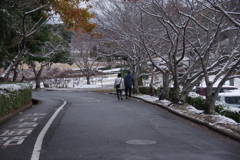 冬の散歩道