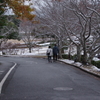 冬の散歩道