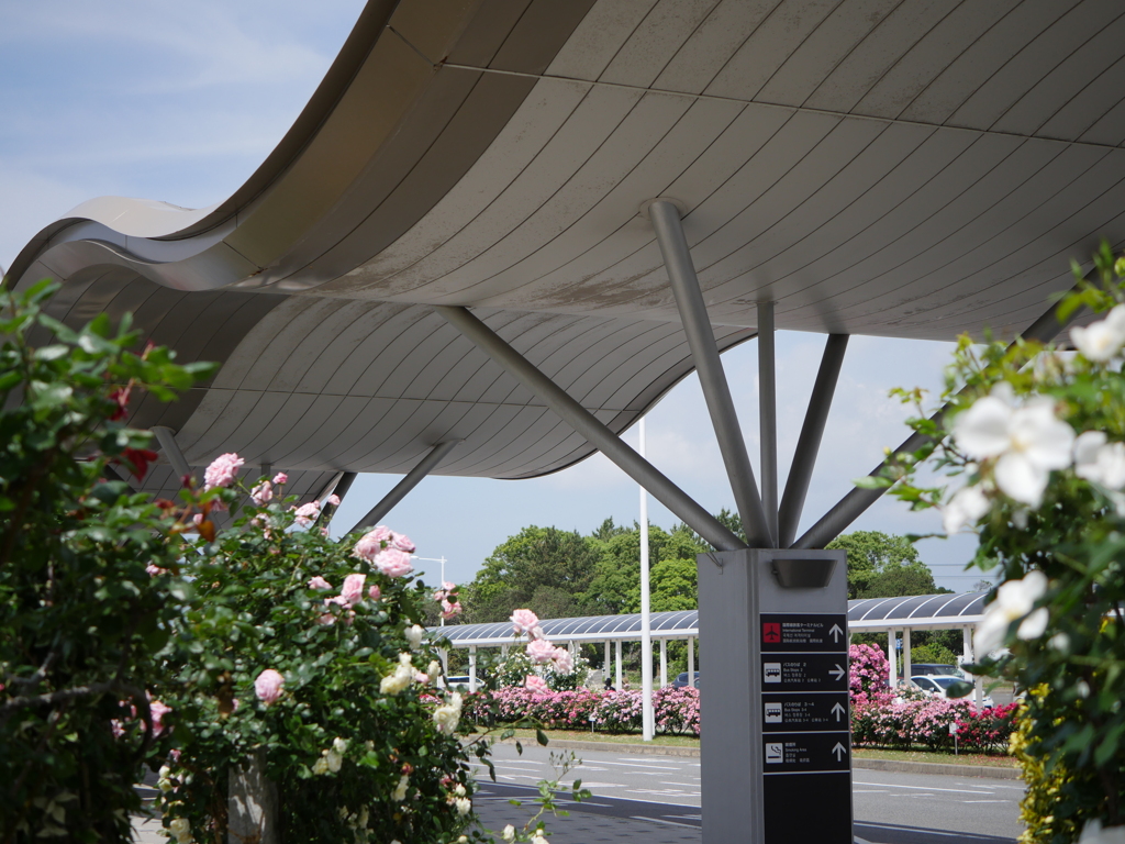 薔薇園のある空港（1）