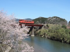 空と桜と鉄橋と汽車