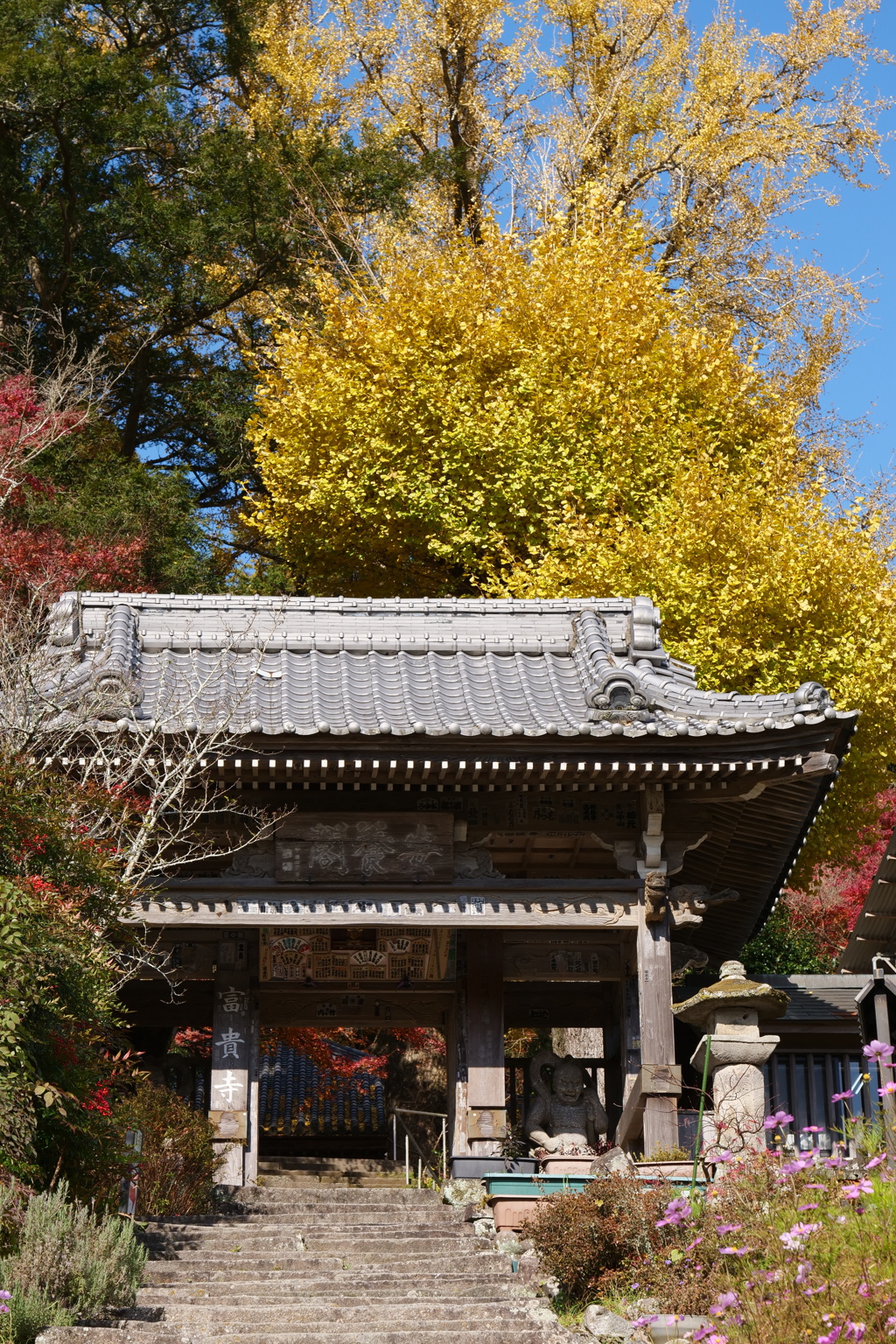 晩秋の富貴寺