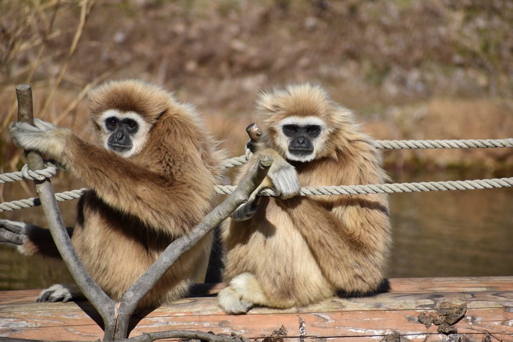 ちゃんと撮れよ