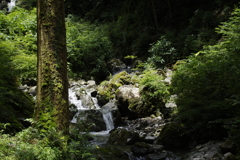 心の居場所