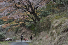 憶えておいて