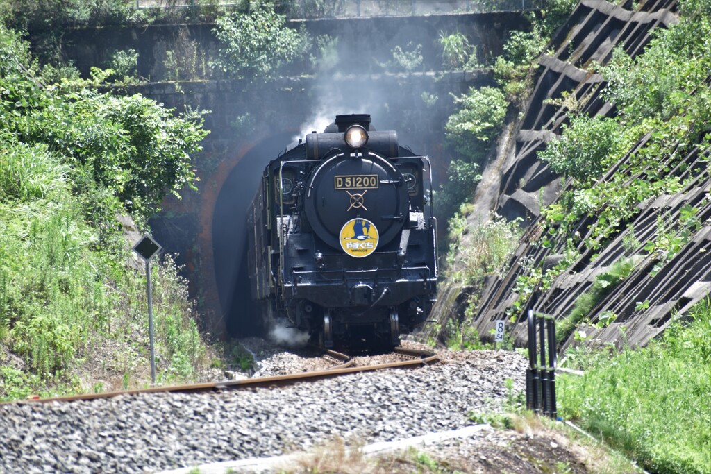 D51山口号