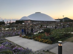 夕映えの花博（4）