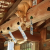 猫寺でのお出迎え