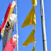 早春の青空に