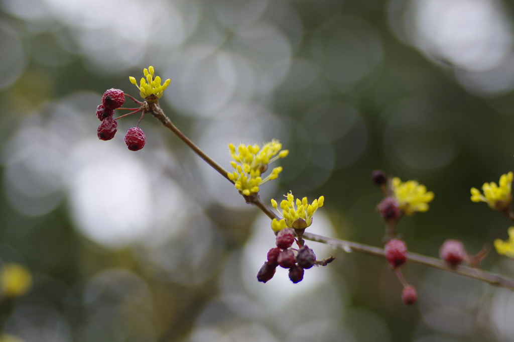 なごりとともに