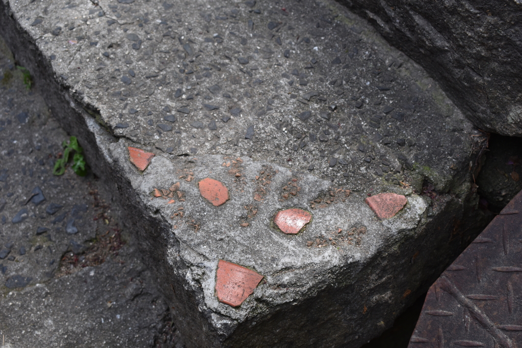 こんなところに猫