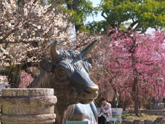 春、隣り合わせ