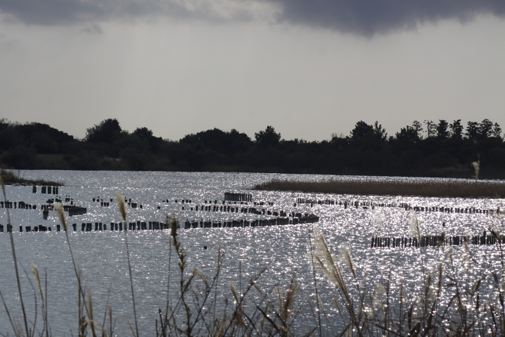 一歩一景（21）