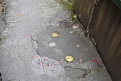 ねこのいる道