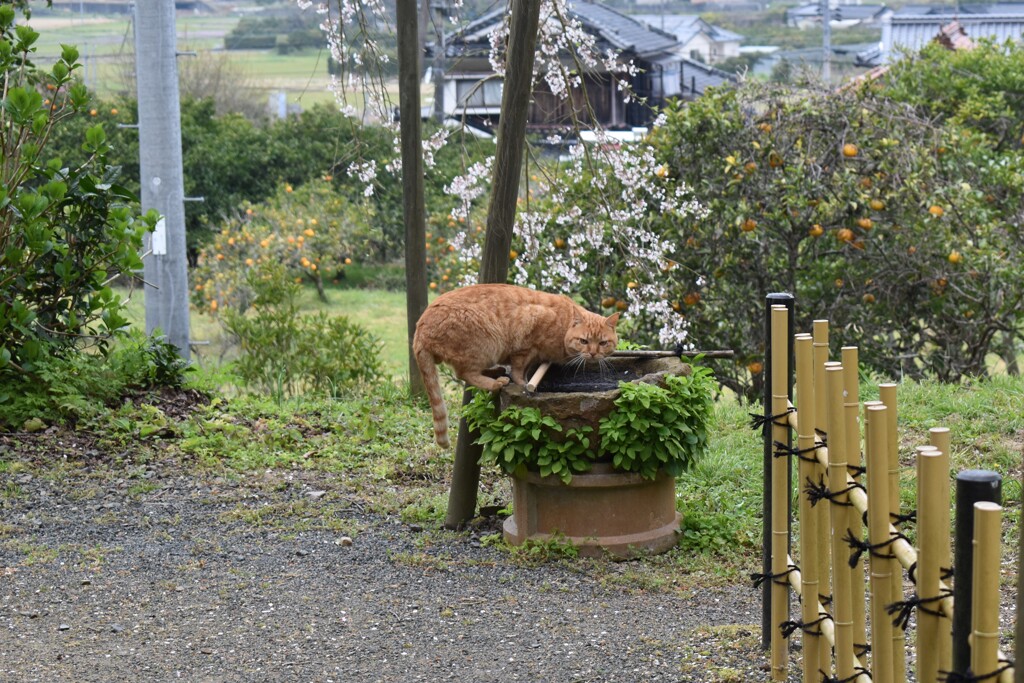 ちょっと失礼します