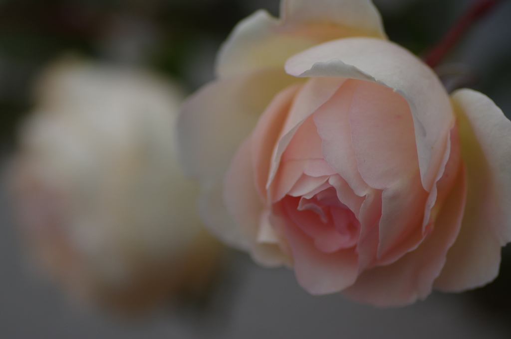 冬の中の暖かさ