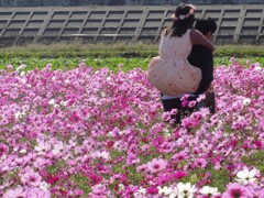 天国への道（2） ふたりの想い出