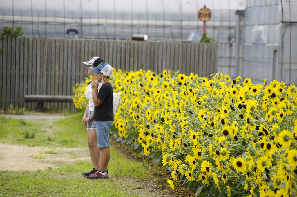 きっと想い出になるね。