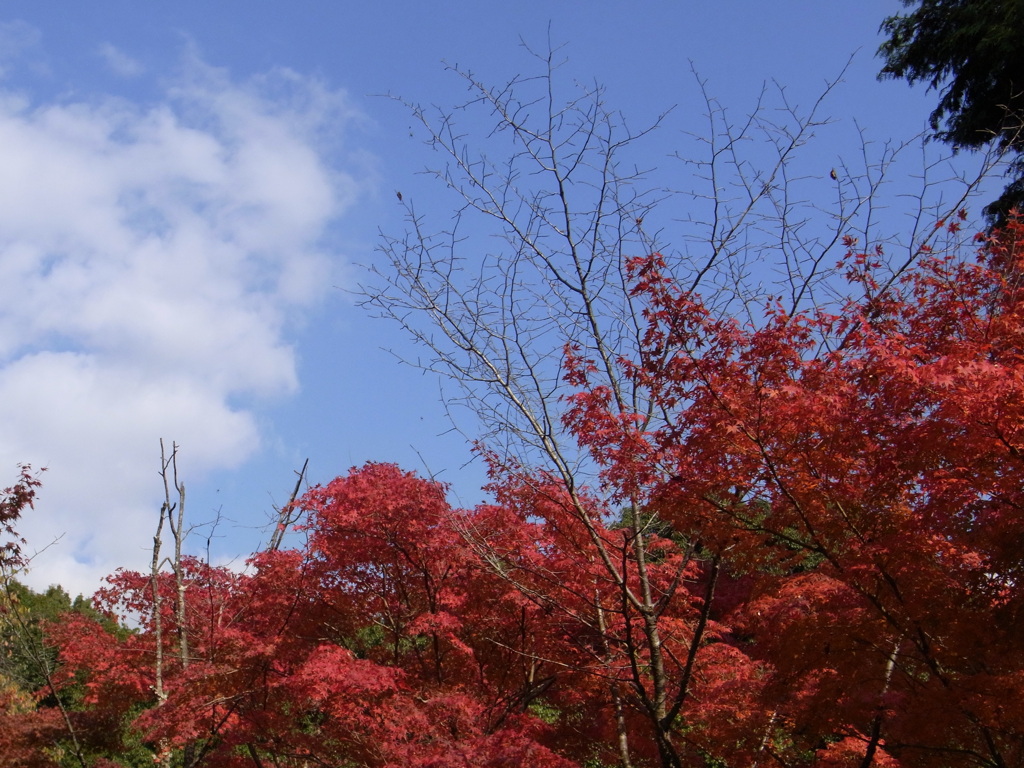 空