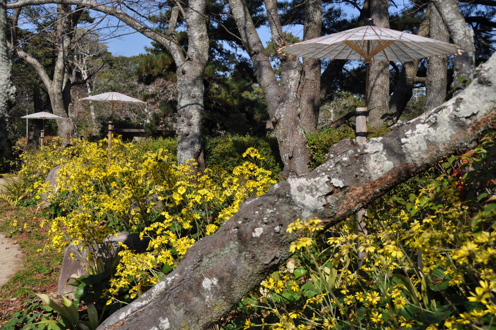 一歩一景（19）