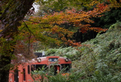 紅葉から見送られ