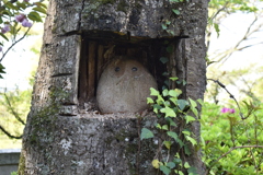 居場所