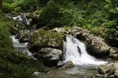 分け入れば水音（山頭火）