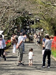 シャボン玉と彼岸花と私