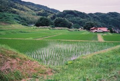 恵みの雨の合間