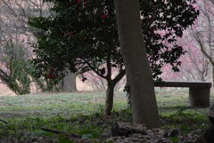 一歩一景（35）