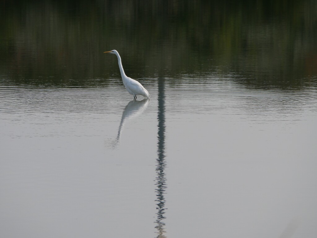 ひとり