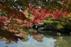 長府庭園にて