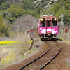 春紀行（ひだまり号）