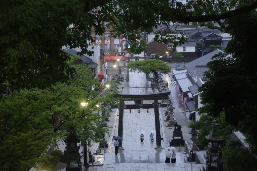 雨の参道