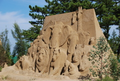 動物たちが・・・