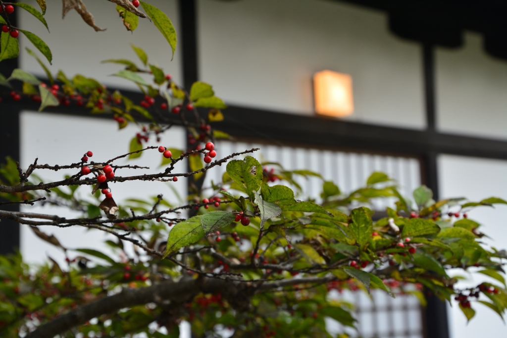軒先