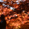 紅の閑けさ