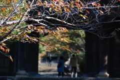 門