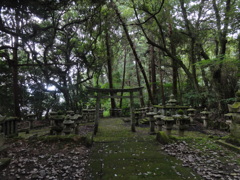 晩夏の大照院（2）