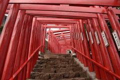 朱道