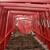 朱道