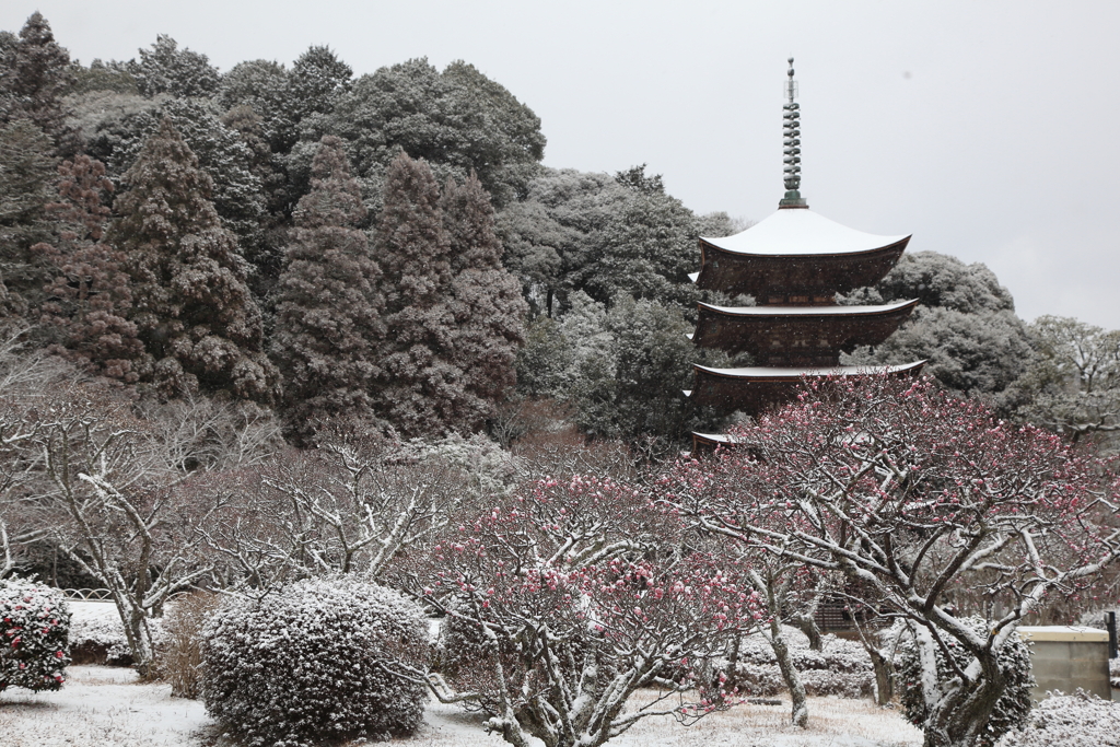 古塔の雪化粧（2）
