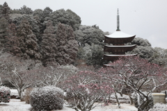 古塔の雪化粧（2）