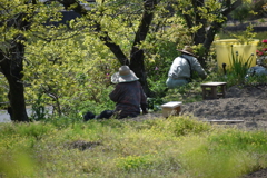 里山にて