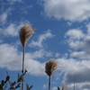 冬空へ