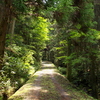 桃源郷への道