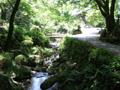 向こうの光